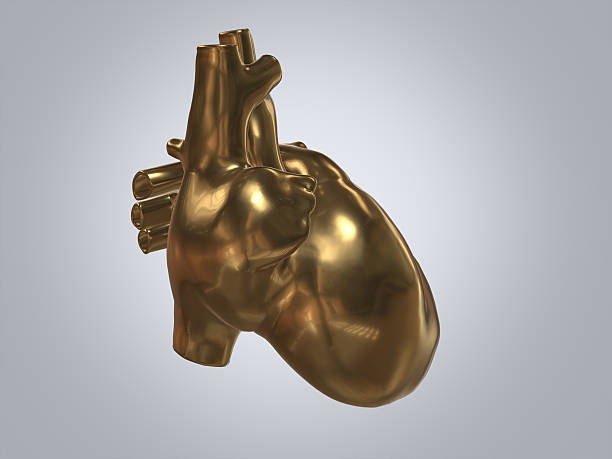 istock Golden heart of human.3D rendering. 636236250