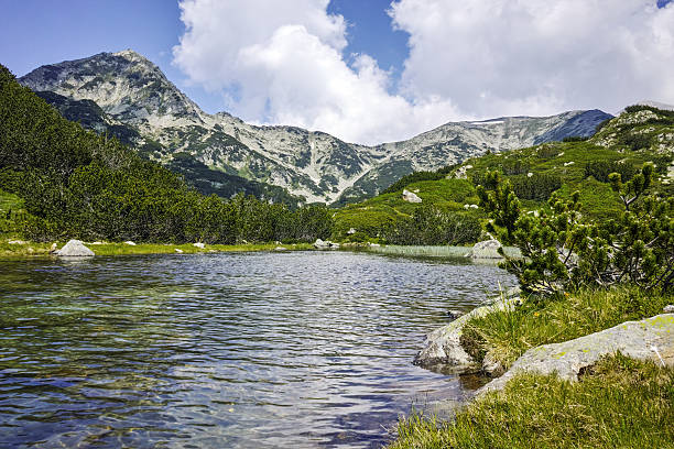 istock Landscape with Mountain River and Muratov peak, Pirin Mountain 636236288