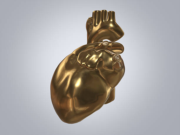istock Golden heart of human.3D rendering. 636236322
