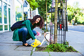 Responsible woman cleaning up the sidewalk in London, Notting Hill
