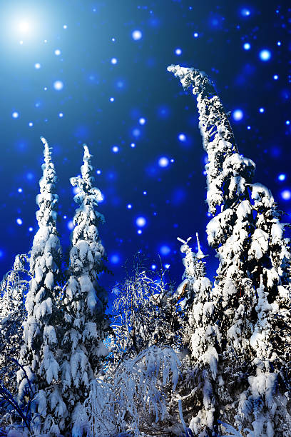 istock Winter forest with snow-covered trees against the blue sky 636239100