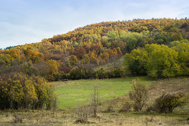 istock Autumn colorfull landscape 636239508