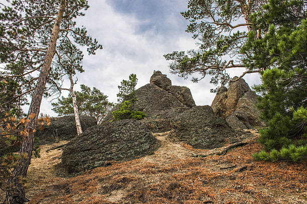 istock The sky over a wooded hill 636240056