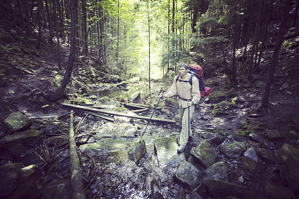 istock Man tourist walking the mountains with a backpack. 636242222