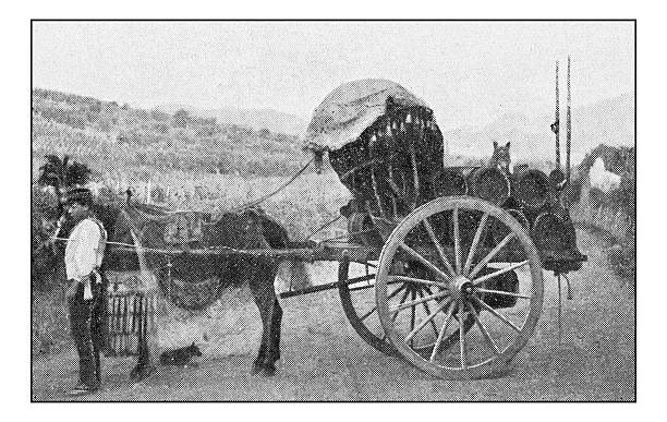 istock Antique dotprinted photographs of Italy: Rome, Man with cart 636243048