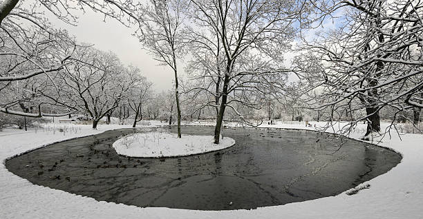 Cтоковое фото Winter Wonderland