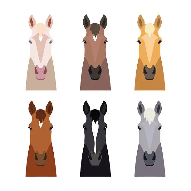 Vector illustration of vector horse head set. Flat, cartoon style object. Different colors