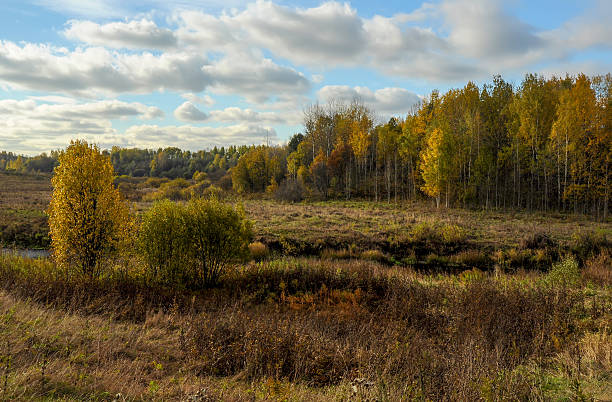 istock Bright colors of Golden autumn 636246392