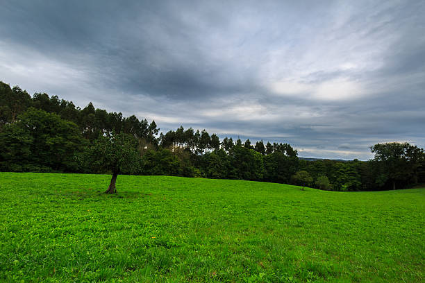 blick auf die grünen felder von laukiz, baskenland - vizcay stock-fotos und bilder