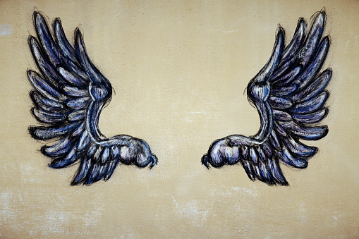 Drawn wings on textured background. Freedom concept
