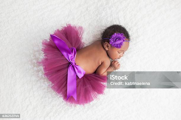 Newborn Baby Girl Wearing A Purple Tutu Stock Photo - Download Image Now - Baby - Human Age, Baby Girls, Newborn