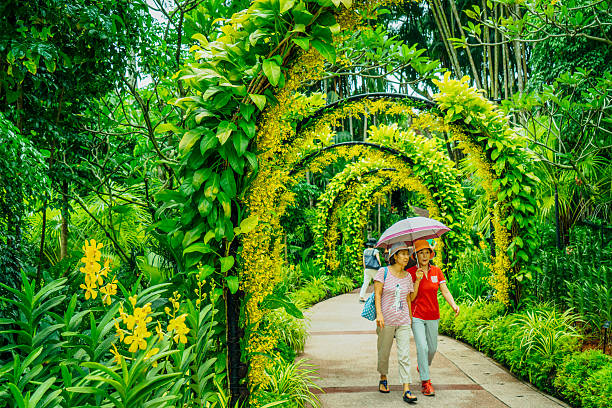 식물과 꽃으로 만든 아케이드와 방법 - editorial asia singapore park 뉴스 사진 이미지