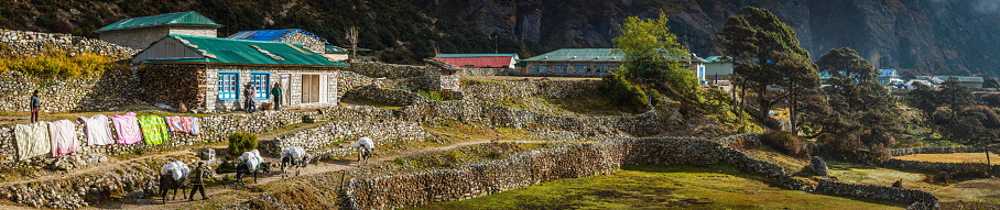 Thame, Nepal - October 21, 2016: Sherpas, porters and yak driver beside traditional houses and dry stone walls in the pretty village of Thame, deep in the Sagarmatha National Park of the Himalayan mountains, Nepal. Composite panoramic image created from ten contemporaneous sequential photographs. 