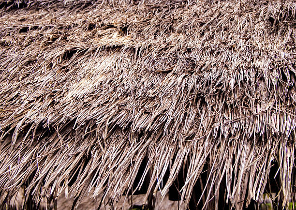 istock Roofs made from the blade of grass 636267078