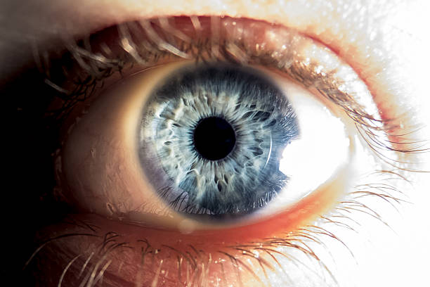 istock Close-up of blue human eye 636268064