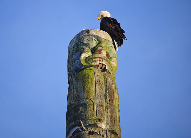 adult eagle on a canadian totem pole - kwakiutl imagens e fotografias de stock