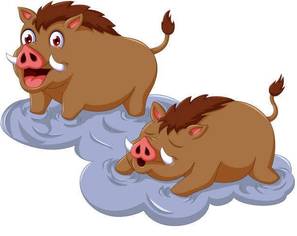 funny wild boar cartoon sitting with her baby vector illustration of funny wild boar cartoon sitting with her baby warthog stock illustrations