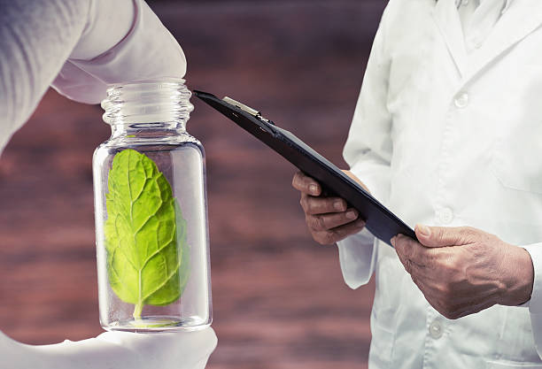istock research herbal medicine product at lab 636274670
