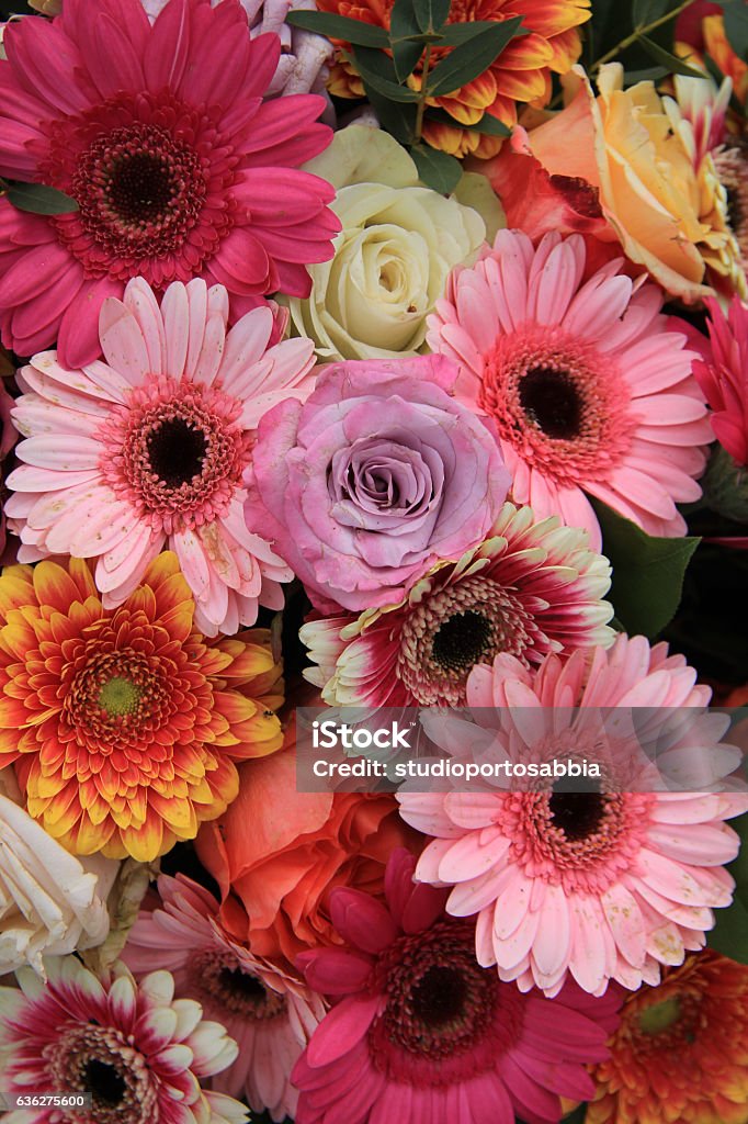 Foto de Gerberas E Rosas Com Buquê Da Noiva e mais fotos de stock de Amor -  Amor, Arranjo, Bouquet - iStock