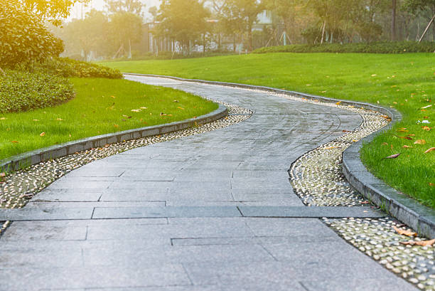 istock pavement in park on a sunny day 636276218