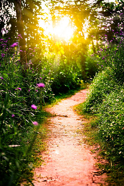 Take photo with DSLR camera in light nature and blend image with Adobe photoshop.