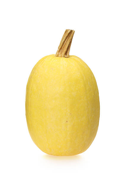 istock organic spaghetti squash Cucurbita pepo vegetable 636283044