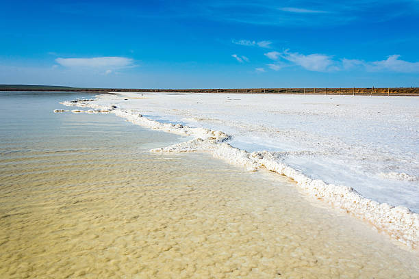 istock Near lake Baskunchak. 636283844