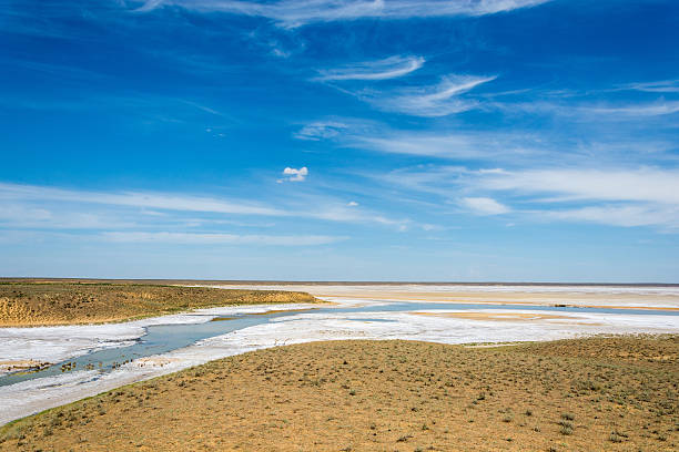 istock Near lake Baskunchak. 636284308