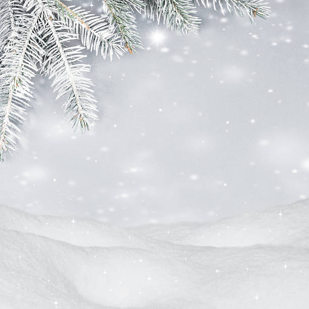 istock Beautiful christmas background. Snowdrifts, spruce branches, flying snow 636286224