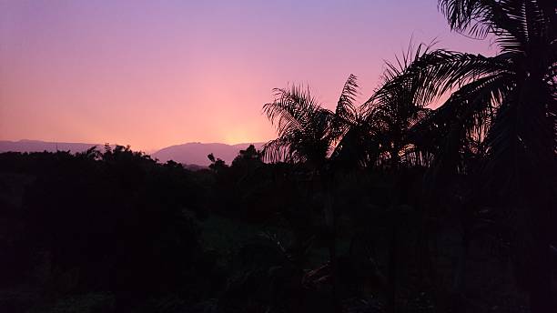 istock Colred Sky Tropical Fog 636293934