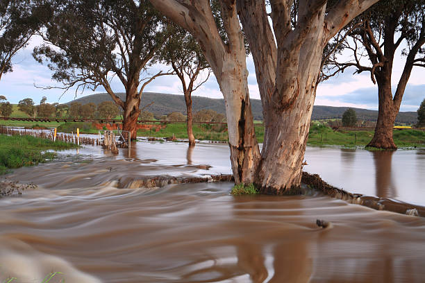 acque fangose inondazione australia - floodwaters foto e immagini stock