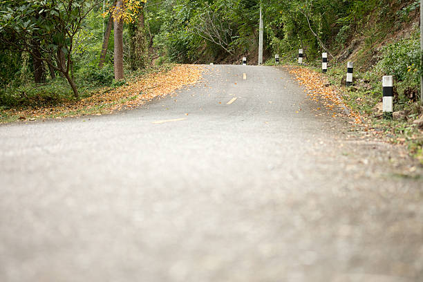 istock Yellow leaves falling on the road 636298280