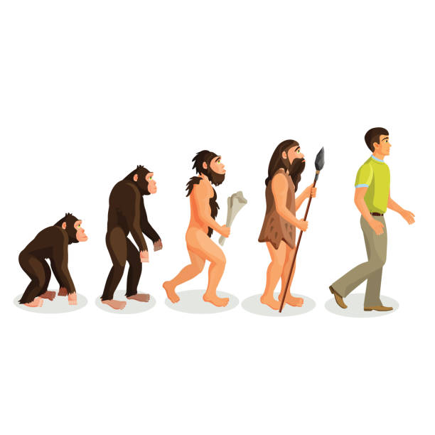 evolution affe zu mann prozess und verwandte konzepte. - evolution stock-grafiken, -clipart, -cartoons und -symbole