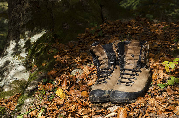 istock Old shoes under a tree in a wood 636305182