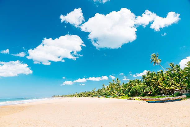 istock Weligama Beach, Hikkaduwa 636305200