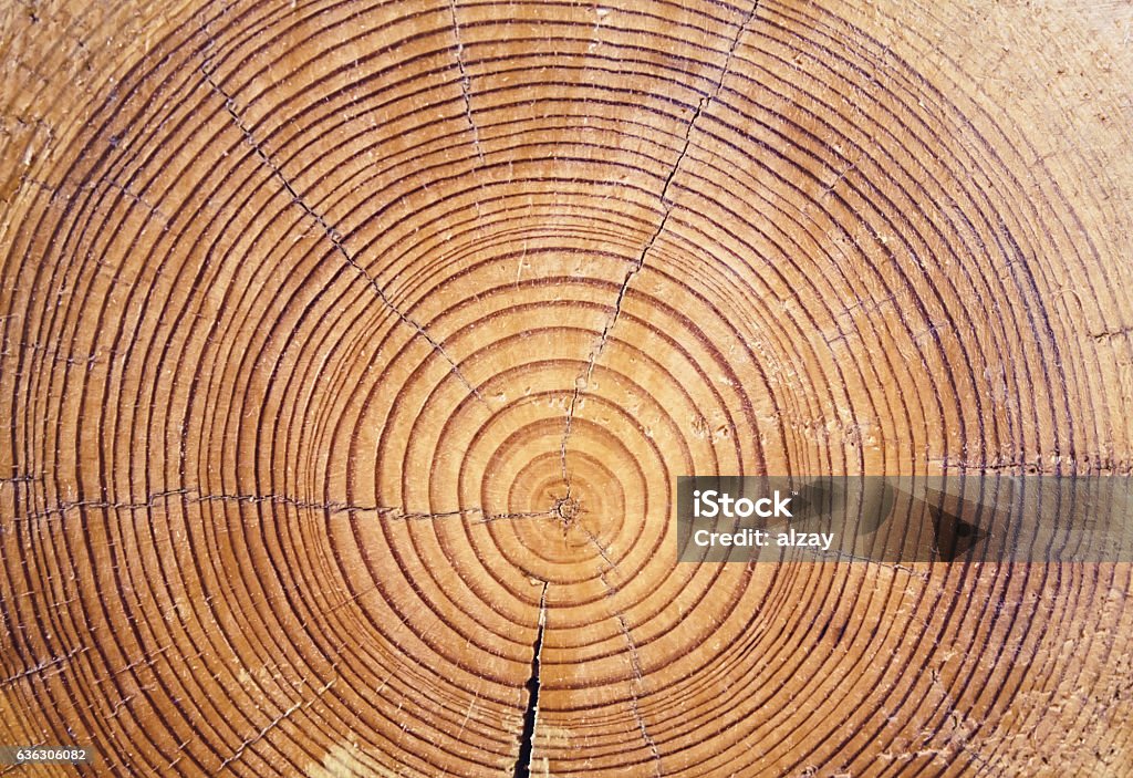 Holzschnitt-Hintergrund - Lizenzfrei Baum Stock-Foto