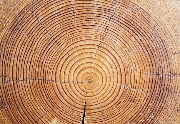 Wood cut background stock photo