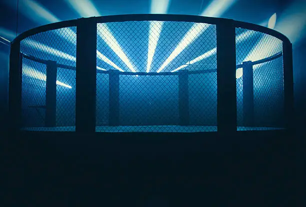 Photo of Mixed Martial Arts Arena