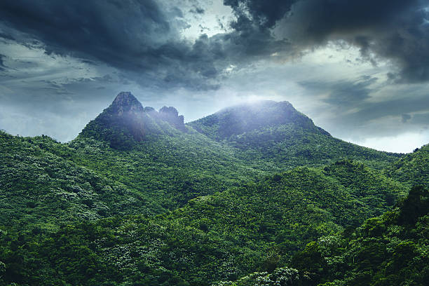 El Yunque National Forest El Yunque National Forest is a forest located in northeastern Puerto Rico. It is the only tropical rain forest in the United States National Forest System. el yunque rainforest stock pictures, royalty-free photos & images