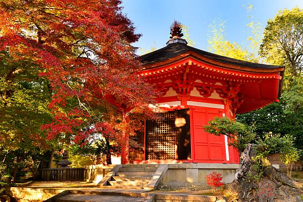 Autumn Foliage of Tofuku-ji Temple, Kyoto, Japan The photo shows autumn foliage around Aizendo Hall (Octagonal Hall)of Tofuku-ji Temple, Kyoto, Japan.  kyoto prefecture photos stock pictures, royalty-free photos & images