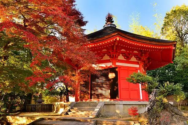 The photo shows autumn foliage around Aizendo Hall (Octagonal Hall)of Tofuku-ji Temple, Kyoto, Japan. 