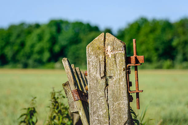 istock Details of an old gate from close 636317178