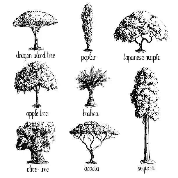 Vector illustration of Set of hand drawn tree sketches.