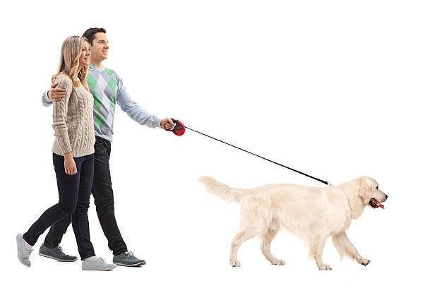Happy young couple walking a dog