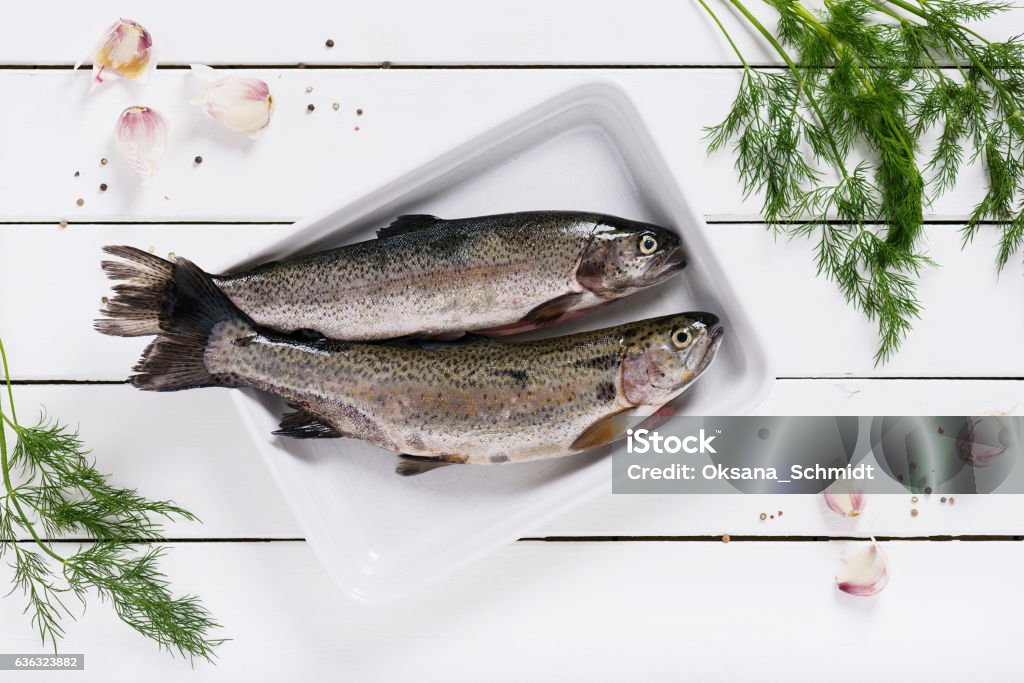 Two fresh rainbow trout on a white plate. Two fresh rainbow trout on a white plate with dill and garlic, ready for cooking. Top view. Trout Stock Photo