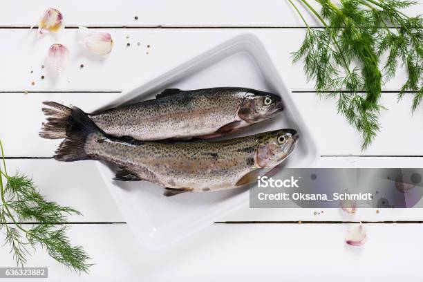 Two Fresh Rainbow Trout On A White Plate Stock Photo - Download Image Now - Trout, Plate, Freshness