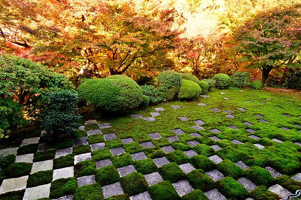 東北寺北庭北庭 北方宮の北側(アボツホール)、京都、 - kyoto accord 写真 ストックフォトと画像