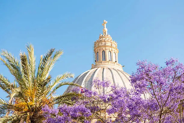 Low angle view on Dome of Basilica, in front purple flowers, Valetta, Malta