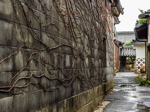 A view of traditional old style japanese alley shot in rainy day. This photo was shot in Yamaguchi prefecture, Japan.