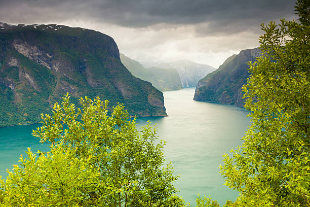 istock Aurland fjord from Stegastein view point, Norway 636330248